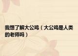 我想了解大公鸡（大公鸡是人类的老师吗）