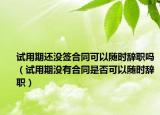 试用期还没签合同可以随时辞职吗（试用期没有合同是否可以随时辞职）