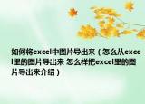 如何将excel中图片导出来（怎么从excel里的图片导出来 怎么样把excel里的图片导出来介绍）