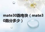 mate30跑电快（mate30跑分多少）