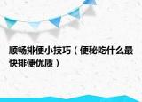 顺畅排便小技巧（便秘吃什么最快排便优质）