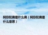 阿弥陀佛是什么佛（阿弥陀佛是什么意思）