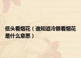 低头看烟花（谁知道冷眼看烟花是什么意思）