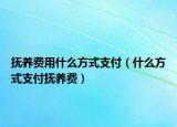 抚养费用什么方式支付（什么方式支付抚养费）