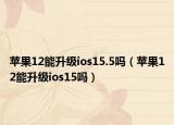 苹果12能升级ios15.5吗（苹果12能升级ios15吗）