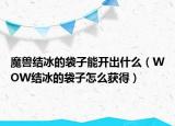 魔兽结冰的袋子能开出什么（WOW结冰的袋子怎么获得）