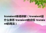 transient单词讲解（transient是什么意思 transient的音标 transient的用法）