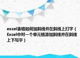 excel表格如何加斜线并在斜线上打字（Excel中对一个单元格添加斜线并在斜线上下写字）