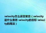 velocity怎么读音发音（velocity是什么意思 velocity的音标 velocity的用法）