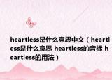 heartless是什么意思中文（heartless是什么意思 heartless的音标 heartless的用法）