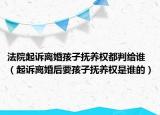 法院起诉离婚孩子抚养权都判给谁（起诉离婚后要孩子抚养权是谁的）
