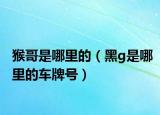 猴哥是哪里的（黑g是哪里的车牌号）