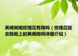 黄褐斑喝玫瑰花有用吗（玫瑰花能去除脸上的黄褐斑吗详细介绍）