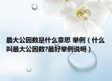 最大公因数是什么意思 举例（什么叫最大公因数?最好举例说明）