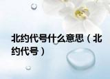 北约代号什么意思（北约代号）