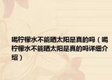 喝柠檬水不能晒太阳是真的吗（喝柠檬水不能晒太阳是真的吗详细介绍）