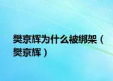 樊京辉为什么被绑架（樊京辉）