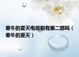 牵牛的夏天电视剧有第二部吗（牵牛的夏天）