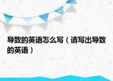 导致的英语怎么写（请写出导致的英语）