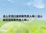 法人不可以是财务负责人吗（法人能否是财务负责人吗）