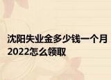 沈阳失业金多少钱一个月2022怎么领取
