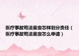 医疗事故司法鉴定怎样划分责任（医疗事故司法鉴定怎么申请）