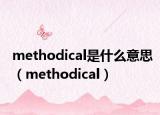 methodical是什么意思（methodical）