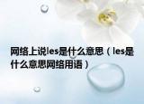 网络上说les是什么意思（les是什么意思网络用语）
