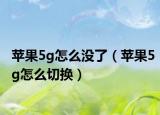 苹果5g怎么没了（苹果5g怎么切换）