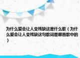为什么爱会让人变残缺这是什么歌（为什么爱会让人变残缺这句歌词是哪首歌中的）