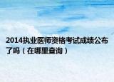2014执业医师资格考试成绩公布了吗（在哪里查询）
