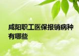 咸阳职工医保报销病种有哪些