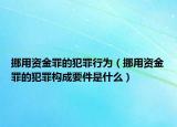 挪用资金罪的犯罪行为（挪用资金罪的犯罪构成要件是什么）