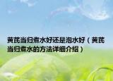 黄芪当归煮水好还是泡水好（黄芪当归煮水的方法详细介绍）