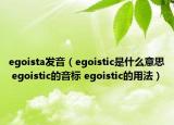 egoista发音（egoistic是什么意思 egoistic的音标 egoistic的用法）