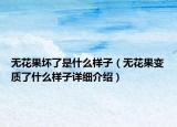 无花果坏了是什么样子（无花果变质了什么样子详细介绍）