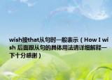 wish接that从句时一般表示（How I wish 后面跟从句的具体用法请详细解释一下十分感谢）