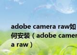 adobe camera raw如何安装（adobe camera raw）