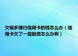欠很多银行信用卡的钱怎么办（信用卡欠了一屁股债怎么办啊）