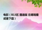 电影（B13区 国语版 在哪观看或者下载）