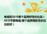 电视机55寸哪个品牌好性价比高（55寸平板电视,哪个品牌哪款性价比比较好）