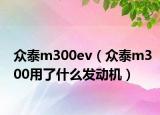 众泰m300ev（众泰m300用了什么发动机）