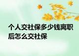 个人交社保多少钱离职后怎么交社保