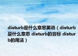 disturb是什么意思英语（disturb是什么意思 disturb的音标 disturb的用法）