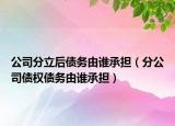 公司分立后债务由谁承担（分公司债权债务由谁承担）