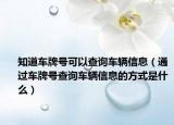 知道车牌号可以查询车辆信息（通过车牌号查询车辆信息的方式是什么）