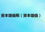 资本增值税（资本增值）