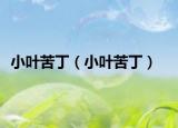 小叶苦丁（小叶苦丁）