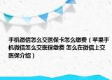 手机微信怎么交医保卡怎么缴费（苹果手机微信怎么交医保缴费 怎么在微信上交医保介绍）