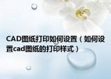 CAD图纸打印如何设置（如何设置cad图纸的打印样式）